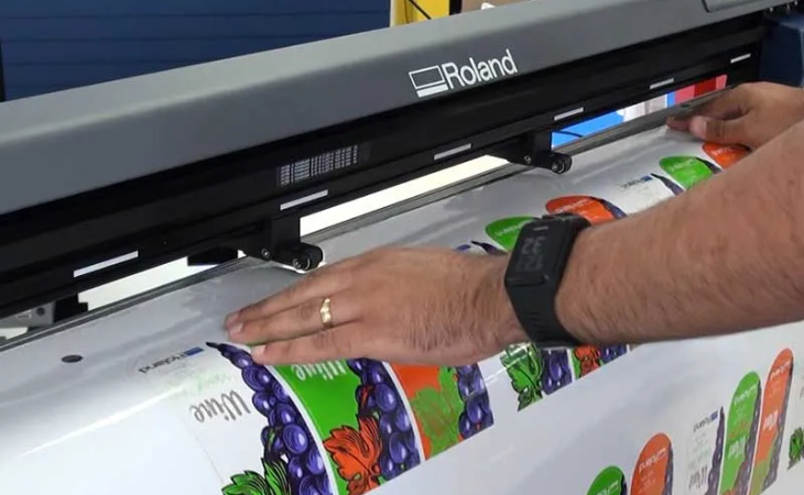 Print & Cut